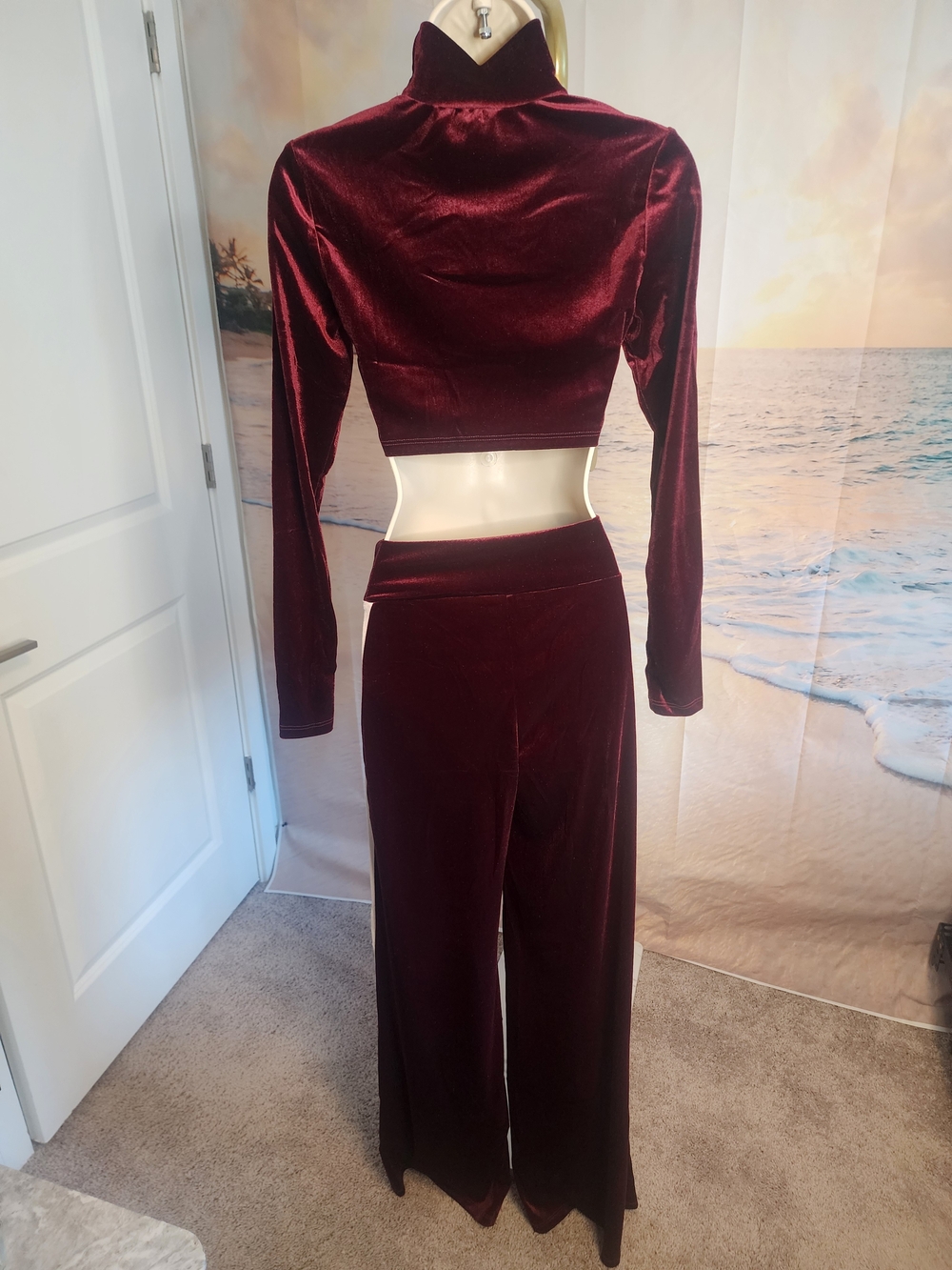 WinWin Velvet High-Waist Wide-Leg Pants with Matching Crop Top -NWOT Burgundy